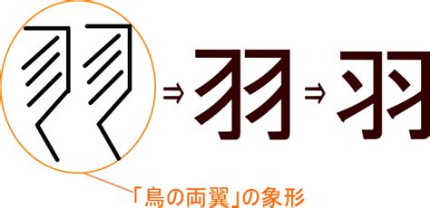 羽 字|「羽」の漢字‐読み・意味・部首・画数・成り立ち